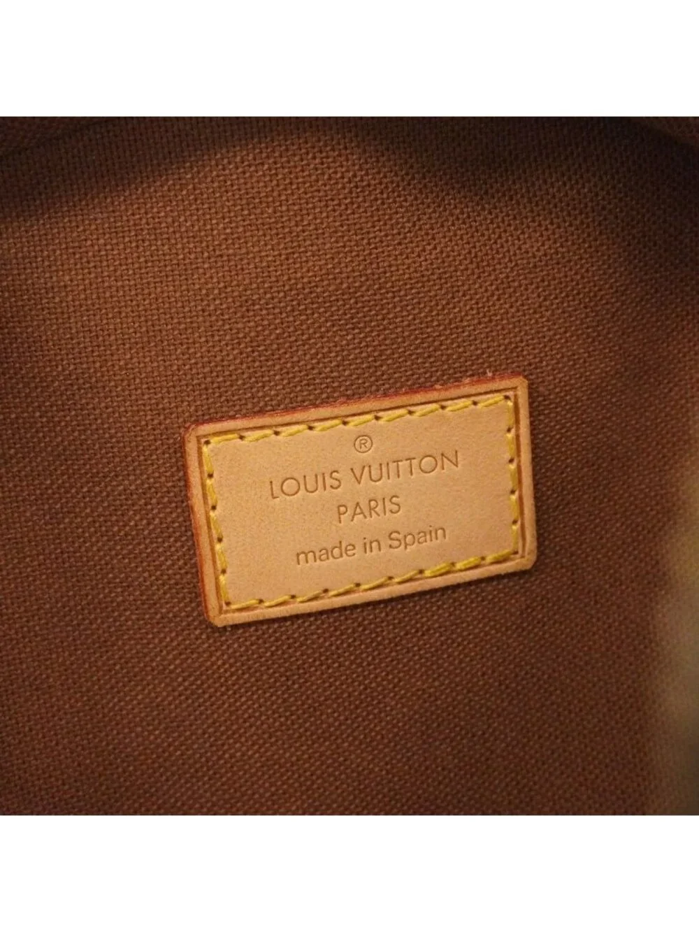 Louis Vuitton Belt Bag Monogram Pochette Gange Brown